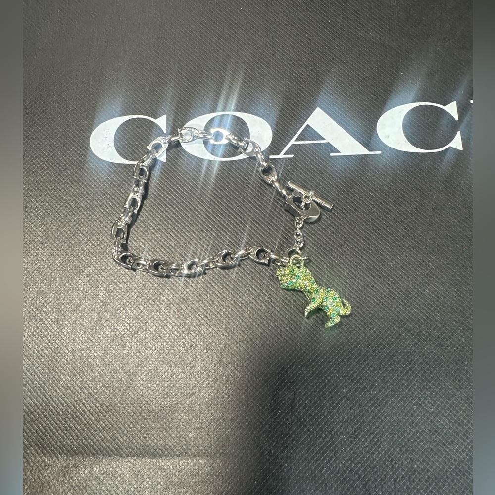 Coach Pavé Rexy Signature Chain Bracelet. New no tag - Picture 7 of 7